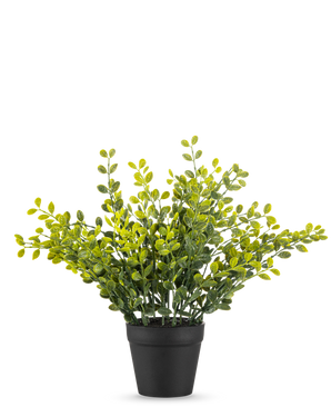 The Artificial Tea Leaves Plant 25 cm er en lille grøn bladplante med gule blade i en simpel sort potte, på en almindelig hvid baggrund.