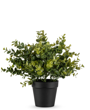Den kunstige plante Pumila 25 cm er en lille kunstig potteplante med frodige grønne blade i en simpel sort potte, afbildet på en almindelig hvid baggrund.