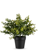 Den kunstige plante Pumila 25 cm er en lille kunstig potteplante med frodige grønne blade i en simpel sort potte, afbildet på en almindelig hvid baggrund.