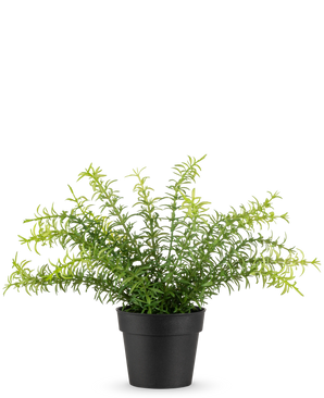 Den kunstige plante Anthurium 27 cm har lange, slanke grønne blade, der strækker sig fra en sort plastikpotte, mod en almindelig hvid baggrund.