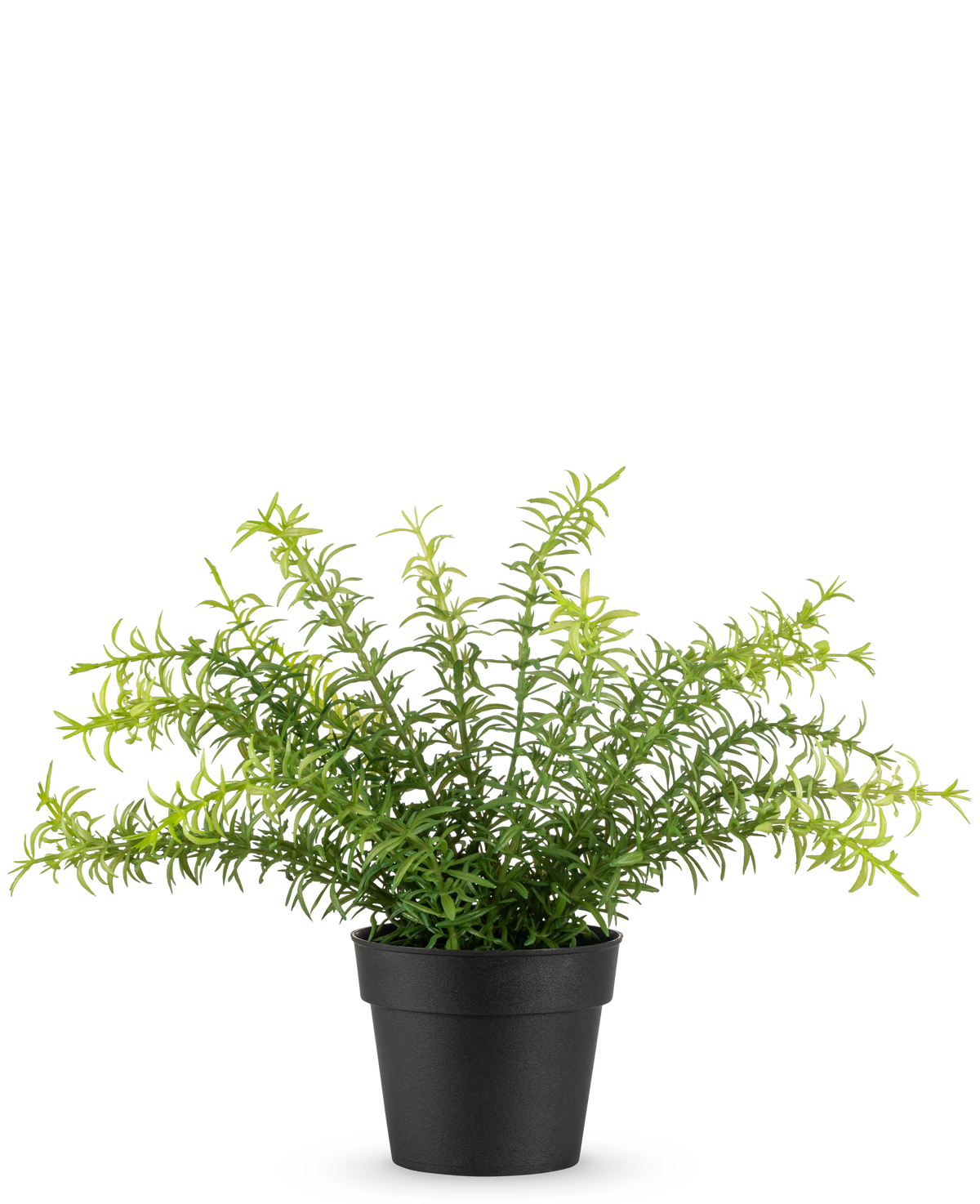 Den kunstige plante Anthurium 27 cm har lange, slanke grønne blade, der strækker sig fra en sort plastikpotte, mod en almindelig hvid baggrund.