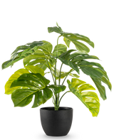 Artificial Monstera 55 cm i sort dekorativ potte har store, skinnende, flækkede grønne blade i en sort dekorativ potte, mod en almindelig hvid baggrund.