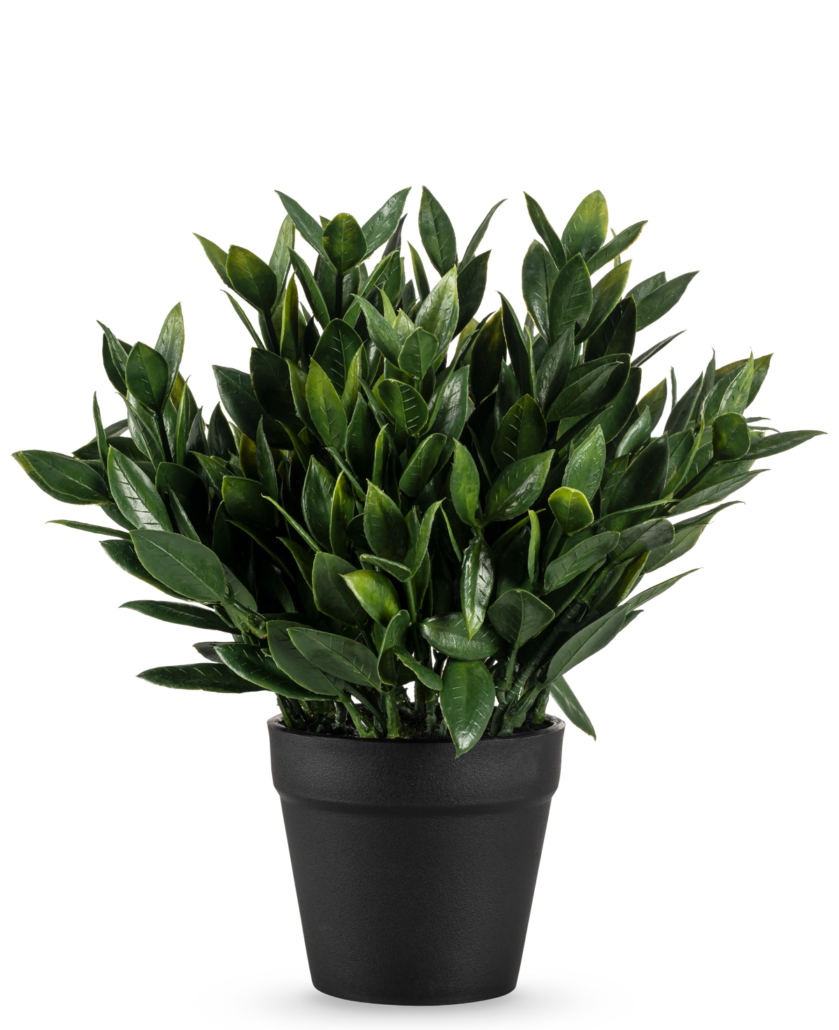 Den kunstige plante Pumila 23 cm er en frodig grøn kunstig plante med talrige spidse blade, i en simpel sort potte og mod en almindelig hvid baggrund.