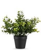 Den kunstige plante Pumila 20 cm er en lille kunstig potteplante med runde grønne blade i en simpel sort potte, vist på en almindelig hvid baggrund.
