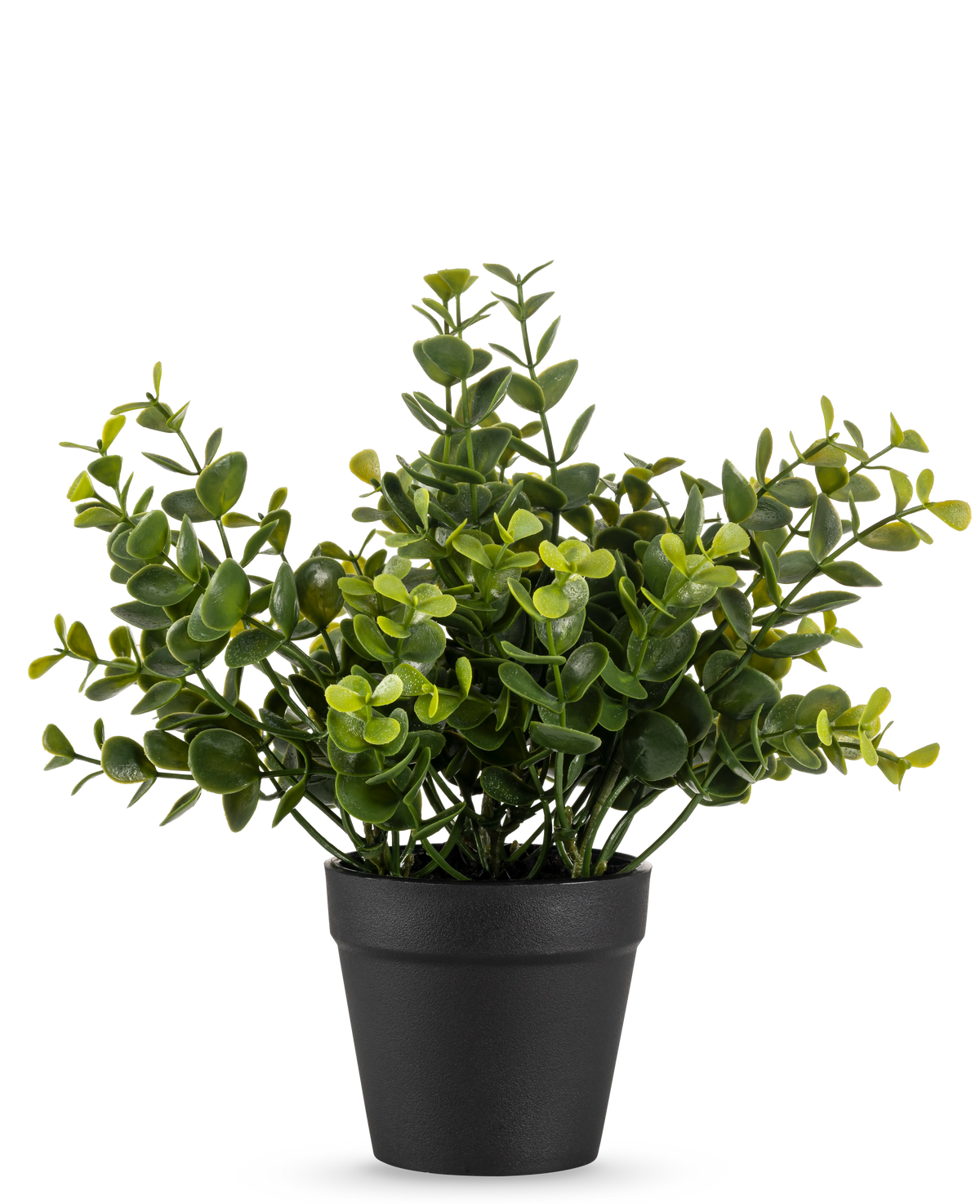Den kunstige plante Pumila 20 cm er en lille kunstig potteplante med runde grønne blade i en simpel sort potte, vist på en almindelig hvid baggrund.