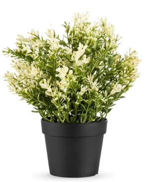 Den kunstige buksbom i potte UV 23 cm er en lille kunstig plante i potte med tætte grønne blade i en enkel sort potte, perfekt til at pifte ethvert rum op.