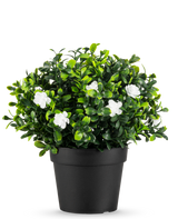 Den kunstige plante Pumila i potte UV 21cm er en lille kunstig plante med tætte grønne blade og sarte hvide blomster, i en simpel sort potte mod en almindelig hvid baggrund.
