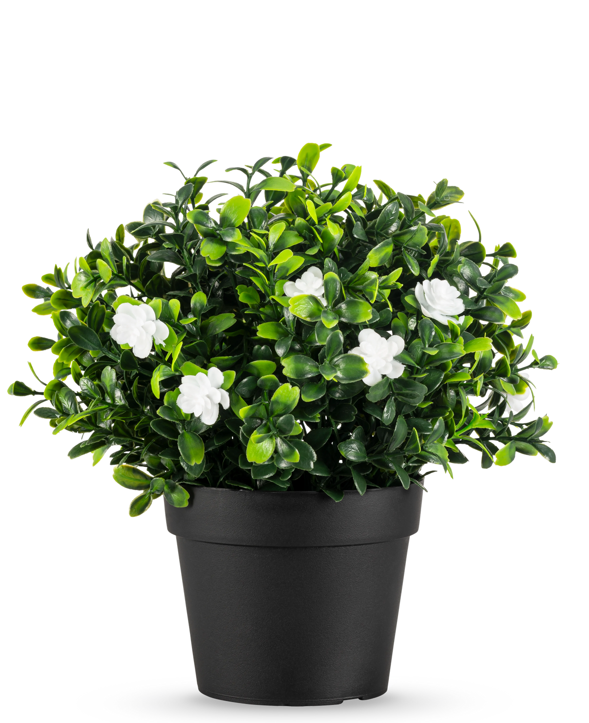 Den kunstige plante Pumila i potte UV 21cm er en lille kunstig plante med tætte grønne blade og sarte hvide blomster, i en simpel sort potte mod en almindelig hvid baggrund.