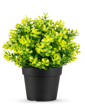 Artificial Rosemary UV 22 cm-planten har lyse grønne og gule blade i en almindelig sort plastikpotte, mod en hvid baggrund.