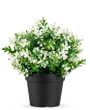 Den hvide kunstige buksbomplante i potte UV 19 cm har tætte grønne blade og talrige hvide blomster, arrangeret i en simpel sort potte mod en almindelig hvid baggrund.