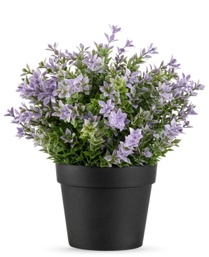 Kunstplanten Buxus lilla UV 22 cm har en sort urtepotte med en frodig kunstplante med små lyslilla blomster og grønne blade mod en almindelig hvid baggrund.