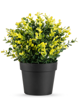 Kunstplanten Buxus gul i potte UV 19 cm har små grønne og gule blade i en simpel sort potte, mod en almindelig hvid baggrund.