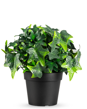 Kunstplanten Ivy i potte UV 20 cm har grønne, stjerneformede kunstige efeublade i en simpel sort potte, vist mod en hvid baggrund.