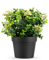 Den kunstige planteeukalyptusblanding UV 22 cm har lyse grønne blade og små hvide blomster i en simpel sort potte, mod en hvid baggrund.