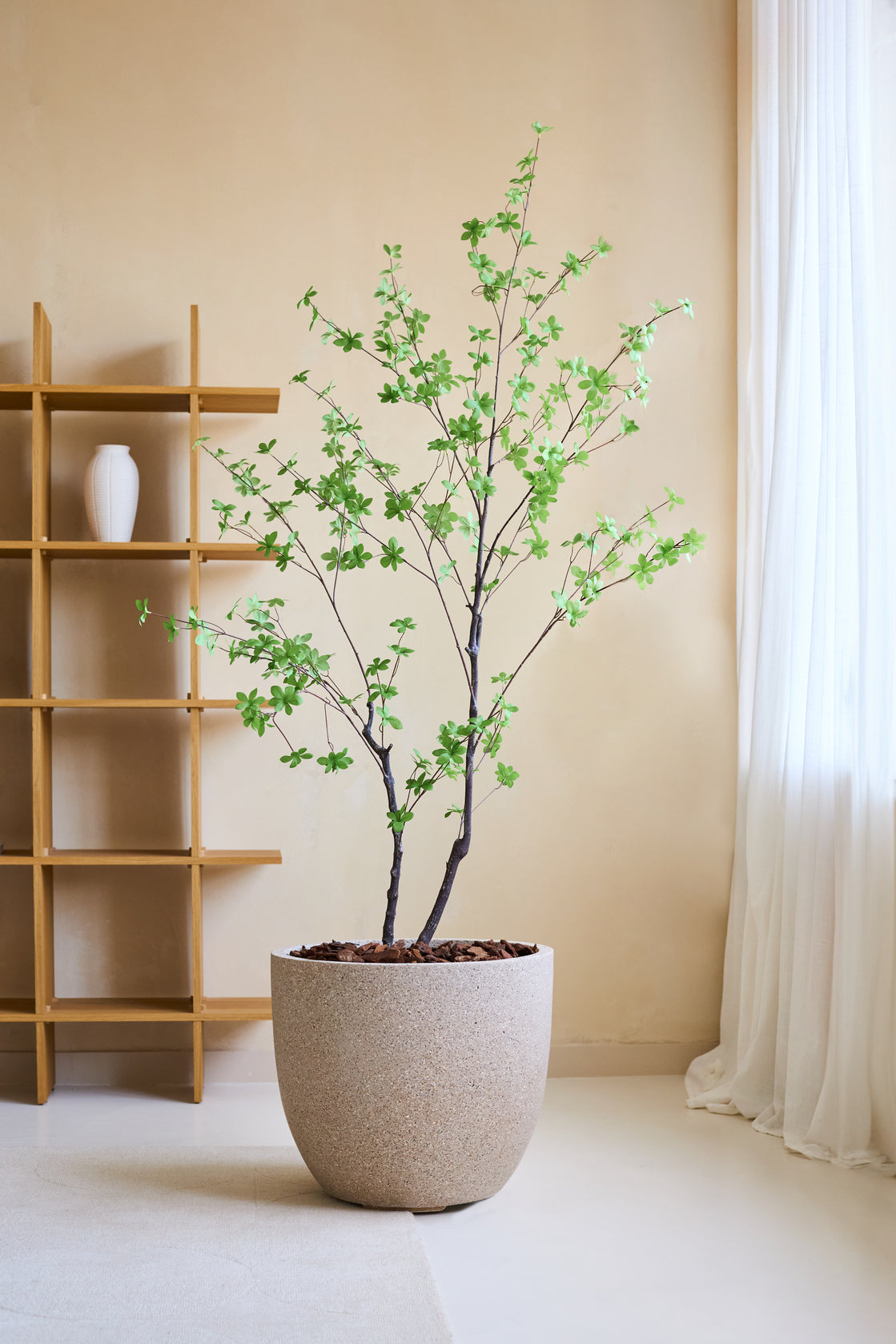 Den kunstige plante Enkianthus 180 cm, et naturtro kunstigt træ med grønne blade i en stor beige plantekasse fyldt med brune sten, er placeret i et minimalistisk rum med en træhylde, hvid vase, cremefarvede vægge og gennemsigtige hvide gardiner.