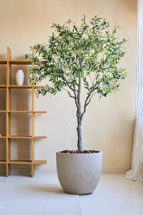Et kunstigt oliventræ 200 cm kunstig plante med slanke grene og grønne blade står på et lyst gulv nær en træhylde og gennemsigtige gardiner i et lyst, minimalistisk rum.