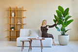 En kvinde i brun kjole sidder i en hvid sofa, smiler og holder en drink, mens hun rører ved kunstplanten Strelitzia Real Touch Deluxe 180 cm i en moderne, minimalistisk stue med træhylder og et sofabord.