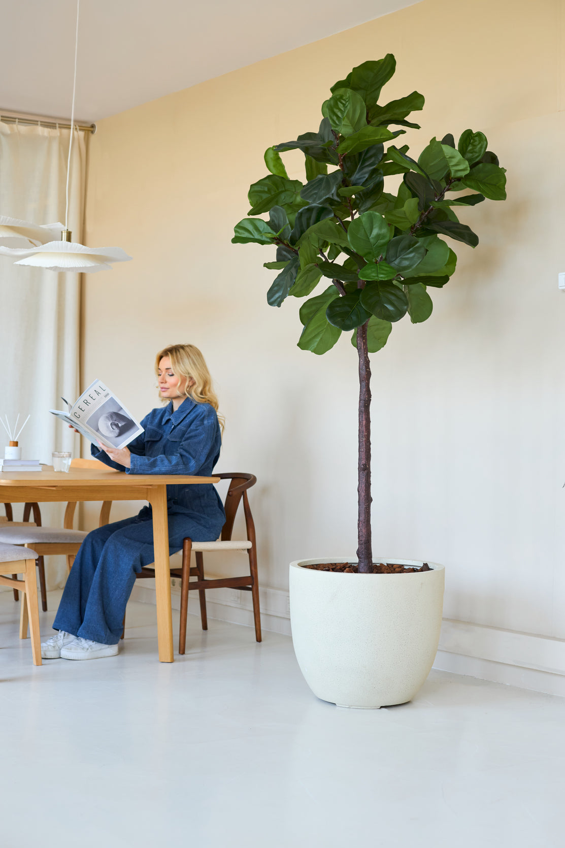 En kvinde i blåt læser et blad ved et træbord i et lyst rum, med Kunstplanten Ficus Tobaksplante Deluxe 215 cm som stilfuld indretning med store grønne blade i forgrunden.