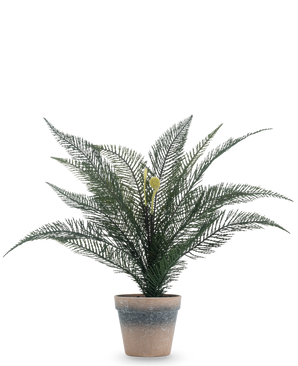 Kunstig plante Phoenix bregne 39 cm i en enkel, vejrbidt terracotta potte med frodige, fjergrønne blade mod en almindelig hvid baggrund.