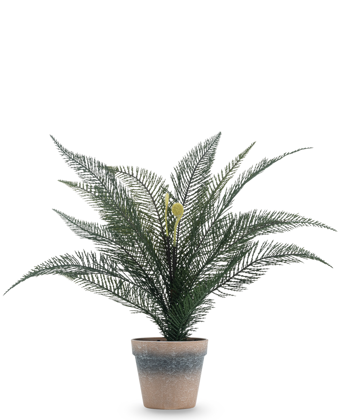 Kunstig plante Phoenix bregne 39 cm i en enkel, vejrbidt terracotta potte med frodige, fjergrønne blade mod en almindelig hvid baggrund.