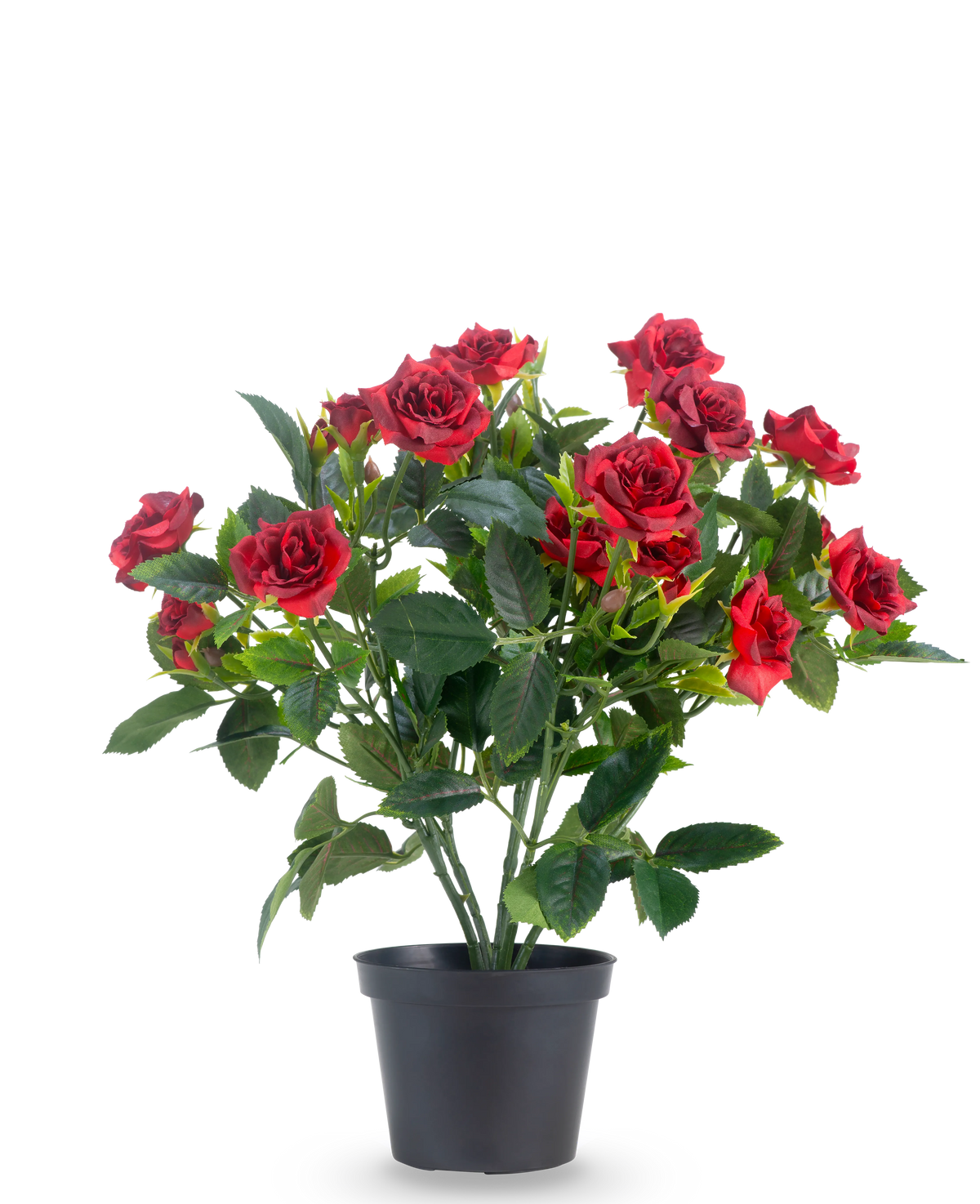 En Artificial Plant Patio Rose 35 cm i rød/sort har livlige røde kunstige roser med frodige grønne blade i en sort potte, mod en almindelig hvid baggrund.