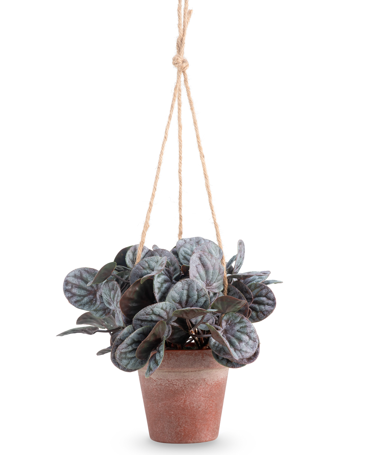 The Artificial Rugose Leaf (18 cm) er en kunstig plante med runde, grønne blade i en rustik grå hængepotte, hængt på en solbrun rebbøjle, mod en almindelig hvid baggrund.