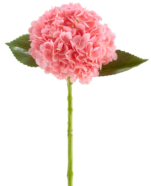 Den kunstige blomst Charlotte Hydrangea Real Touch mørk pink er en kunstig hortensia blomst på 55 cm lang, med en rund klase af mørke pink kronblade og grønne blade på en lang stilk, isoleret på en hvid baggrund.