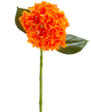 Den kunstige blomst Charlotte Hydrangea Real Touch orange 55 cm har en levende orange hortensiablomst med kronblade, en grøn stilk og to store grønne blade mod en hvid baggrund.