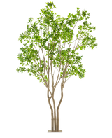 Den kunstige plante Pieris Japonica 290 cm er et højt kunstigt træ med flere lysebrune stammer og frodige grønne blade i en rektangulær potte, mod en hvid baggrund.