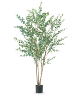 Den kunstige plante Eucalyptus 240 cm er en høj kunstig plante med flere tynde træagtige stængler og runde grønne blade, vist i en simpel sort potte mod en almindelig hvid baggrund.