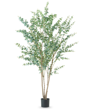 Den kunstige plante Eucalyptus 240 cm er en høj kunstig plante med flere tynde træagtige stængler og runde grønne blade, vist i en simpel sort potte mod en almindelig hvid baggrund.