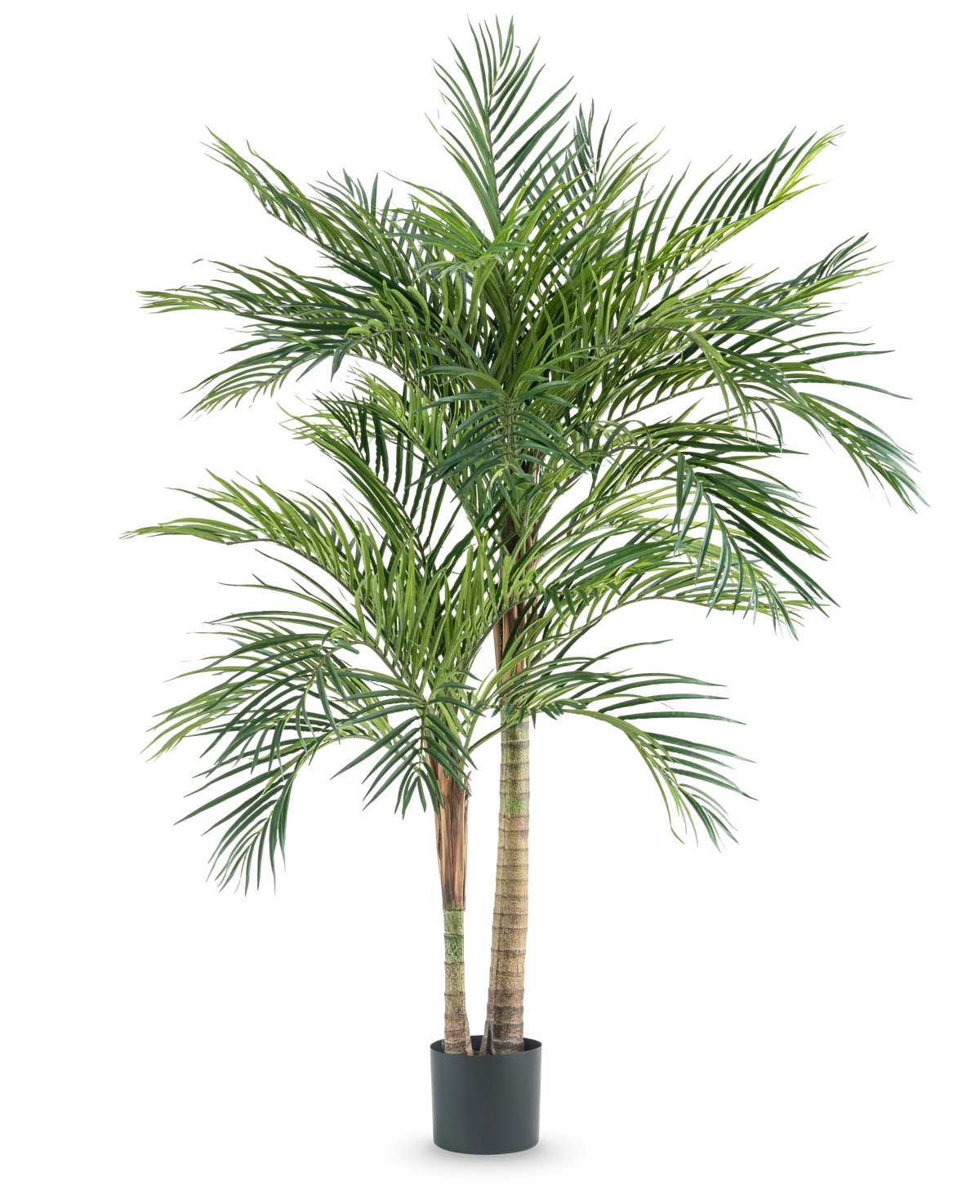Kunstplanten Areca 180 cm er en høj kunstig palme med flere slanke stammer og lange grønne blade, i en simpel sort potte mod en hvid baggrund.