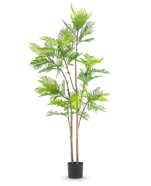 Den kunstige bregneplante 210 cm er en høj kunstig plante med flere slanke brune stængler og frodige grønne bregne-lignende blade, mod en almindelig hvid baggrund.