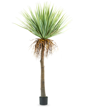 Den kunstige Yucca-plante 153 cm har en høj, ru brun stamme med grønne spidse blade øverst og nogle tørrede blade forneden, mod en almindelig hvid baggrund.