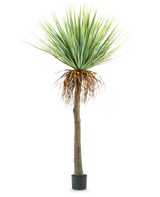 Den kunstige Yucca-plante 153 cm har en høj, ru brun stamme med grønne spidse blade øverst og nogle tørrede blade forneden, mod en almindelig hvid baggrund.