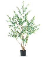 Den kunstige plante Eucalyptus 180 cm er en høj kunstig plante med slanke grene og runde grønne blade, udstillet i en simpel sort potte mod en hvid baggrund.