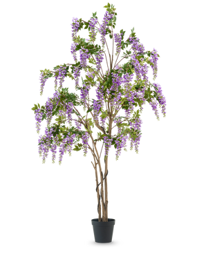 The Artificial Wisteria Plant 280 cm er et højt kunstigt blåregn træ i en sort potte, med flere slanke brune stammer og cascade lilla blomster med grønne blade, mod en almindelig hvid baggrund.
