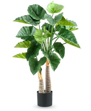 Den kunstige plante Alocasia 120 cm har store, blanke grønne blade og to tykke, strukturerede stængler i en enkel sort potte, mod en hvid baggrund.