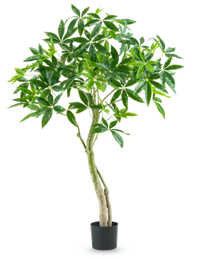 Kunstplanten Pachira 150 cm er en høj stueplante i en krukke med flere slanke stammer og klaser af brede, blanke grønne blade mod en almindelig hvid baggrund.