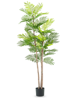 Kunstbregneplanten 150 cm er en høj kunstig plante med slanke brune stængler og grønne bregnelignende blade, i en lille sort potte mod en almindelig hvid baggrund.