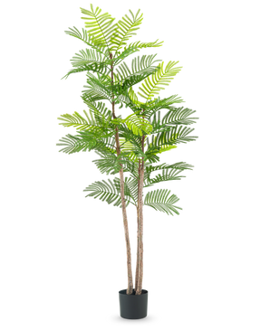 Kunstbregneplanten 150 cm er en høj kunstig plante med slanke brune stængler og grønne bregnelignende blade, i en lille sort potte mod en almindelig hvid baggrund.