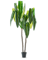 Kunstplanten Anthurium 240 cm er en høj kunstig plante i potte med to brune stængler og store, aflange grønne blade mod en almindelig hvid baggrund.