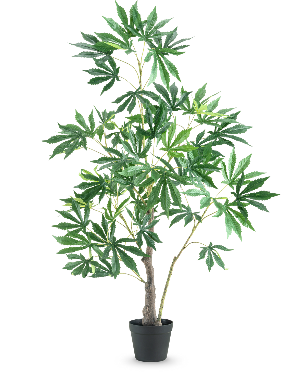 Den kunstige plante Hamp Cannabis Blade 120 cm er en høj kunstig plante i en potte med flere tynde grene og klaser af store grønne blade med takkede kanter mod en almindelig hvid baggrund.