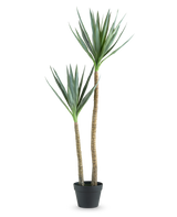 Den kunstige plante Heneken 120 cm er en kunstig yucca-plante med to høje, slanke stammer og spidse grønne blade mod en almindelig hvid baggrund.