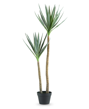 Den kunstige plante Heneken 120 cm er en kunstig yucca-plante med to høje, slanke stammer og spidse grønne blade mod en almindelig hvid baggrund.