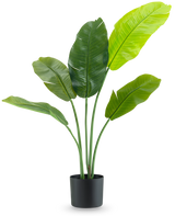 Den kunstige plante Strelitzia Nicolai Deluxe 90 cm har store, blanke grønne blade på lange stængler og præsenteres i en enkel sort potte mod en almindelig hvid baggrund.