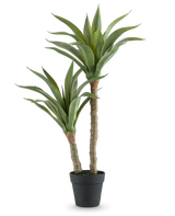 Den kunstige planteagave 76 cm har to lange, tykke stængler med lange, spidse grønne blade i en sort potte, mod en almindelig hvid baggrund.