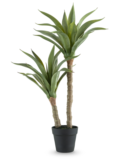 Den kunstige planteagave 76 cm har to lange, tykke stængler med lange, spidse grønne blade i en sort potte, mod en almindelig hvid baggrund.