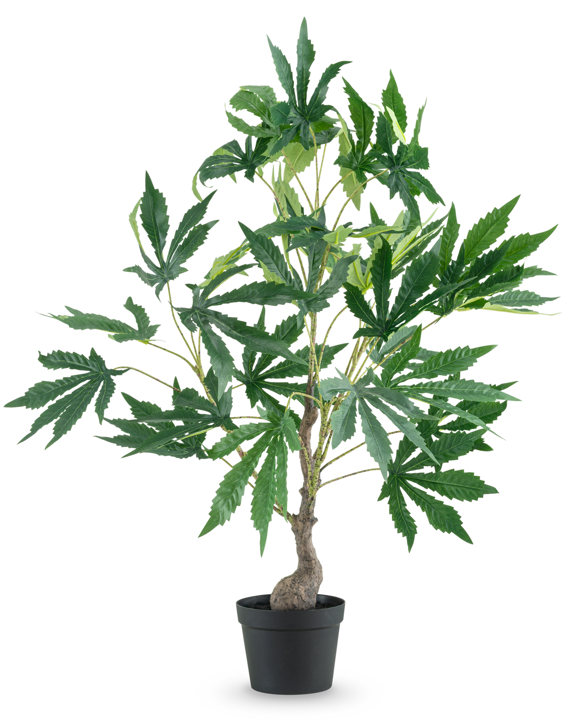 En kunstig plante Hamp Cannabis Blade på 60 cm, med en tynd stamme og flere grene fulde af store, finurlige grønne blade, mod en almindelig hvid baggrund.