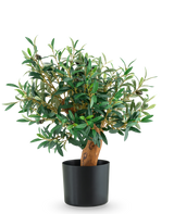Artificial Olive Mount UV 60cm er et lille oliventræ i potte med frodige grønne blade og en robust stamme, præsenteret i en slank sort potte mod en almindelig hvid baggrund.